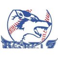 logo team Rebels